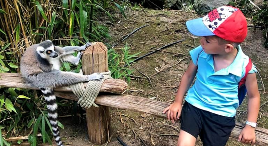 Ma Colo aux Zoos (printemps)