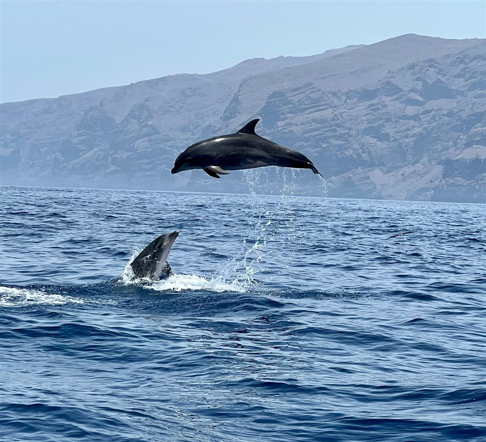 Tenerife