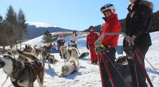 Trappeurs et Chiens de Traineaux
