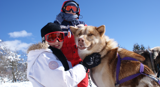 Ski et Chiens Traineaux