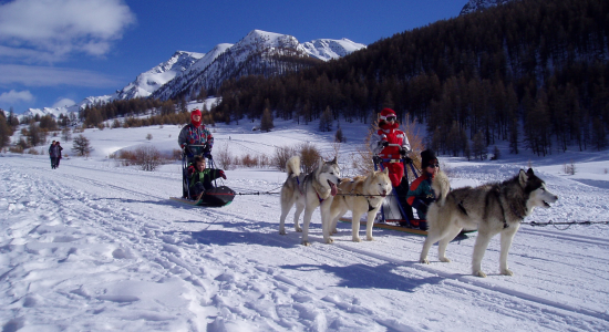 Ski et Chiens Traineaux