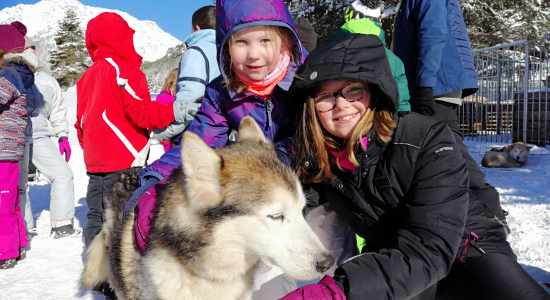 Oursons des Neiges