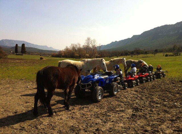 Quad et Nature