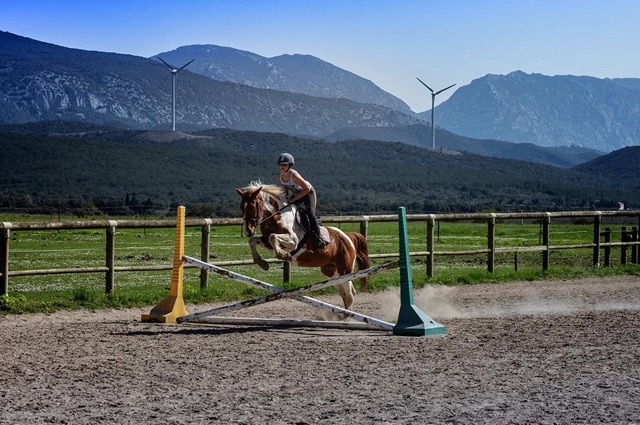 Séjour 100 % Equitation