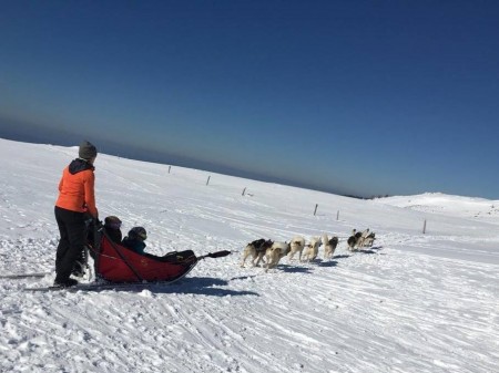 La Vie de Musher