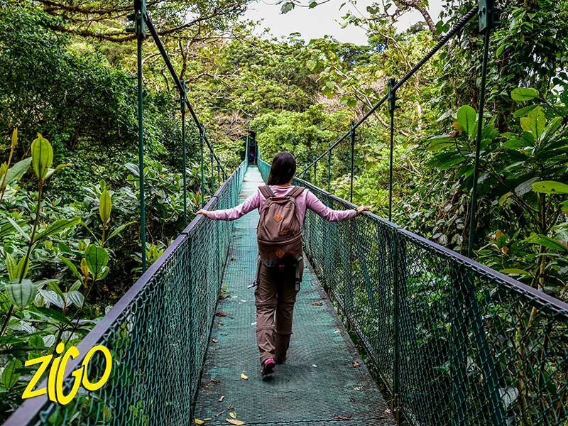 Colonie de Vacances au Costa Rica
