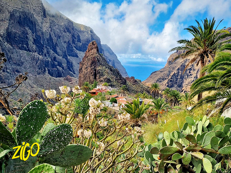 Colonie de Vacances Canaries