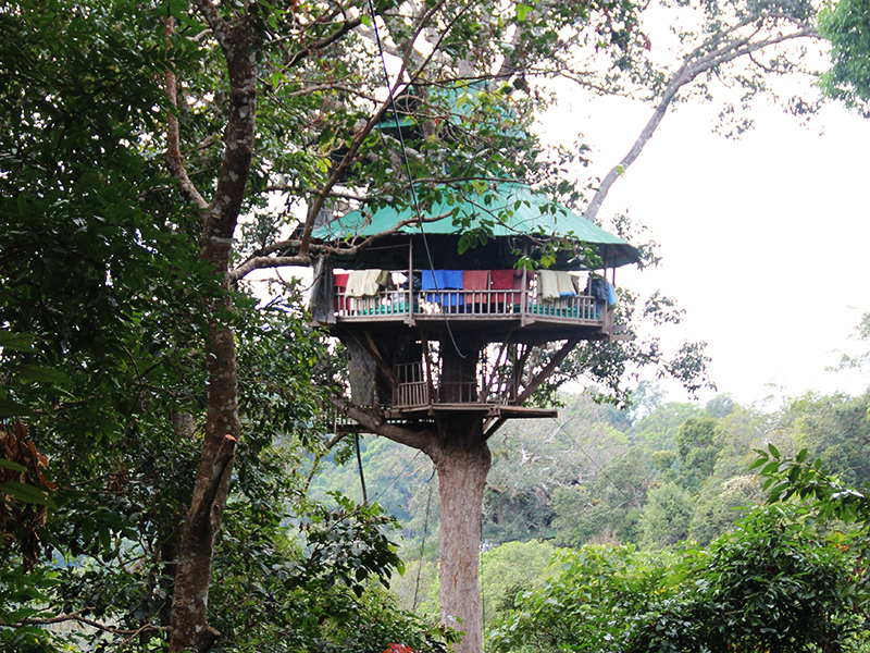 Colonie de Vacances Thaïlande Laos